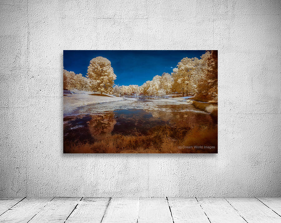 Dreamscape Reflections at Forest Lake Wall Preview