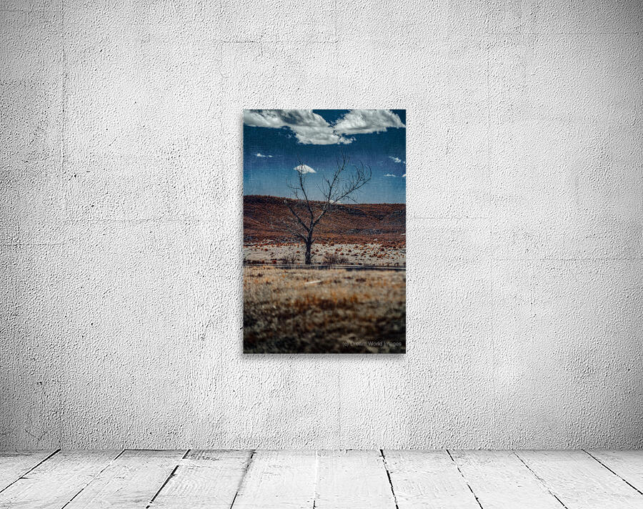 Stoic Silhouette in a Desolate Expanse Wall Preview