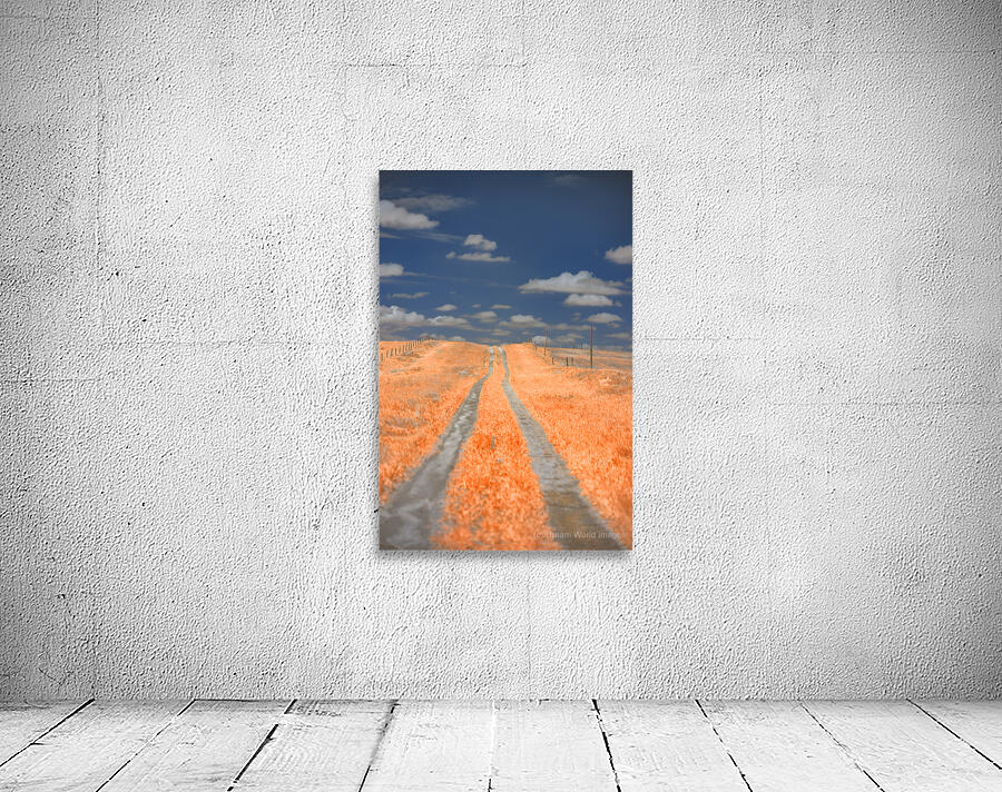 Nebraska Red Farmlane Wall Preview