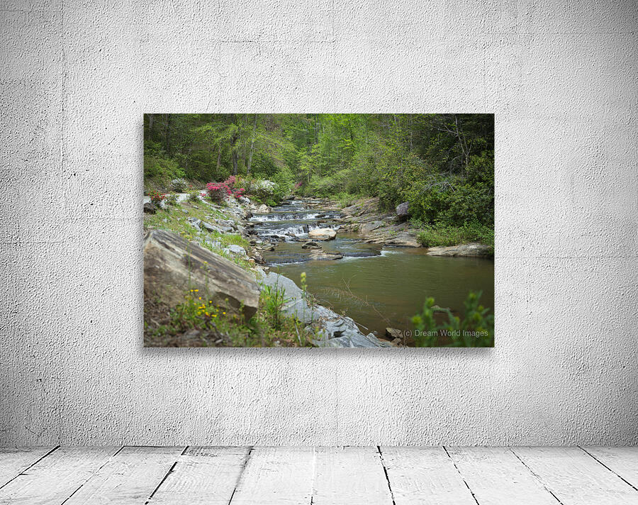 Flowing Tranquility Wall Preview