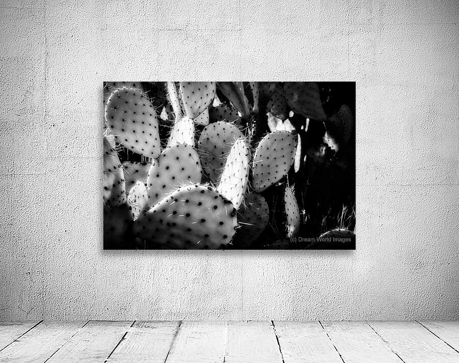 extures of the Desert Wall Preview