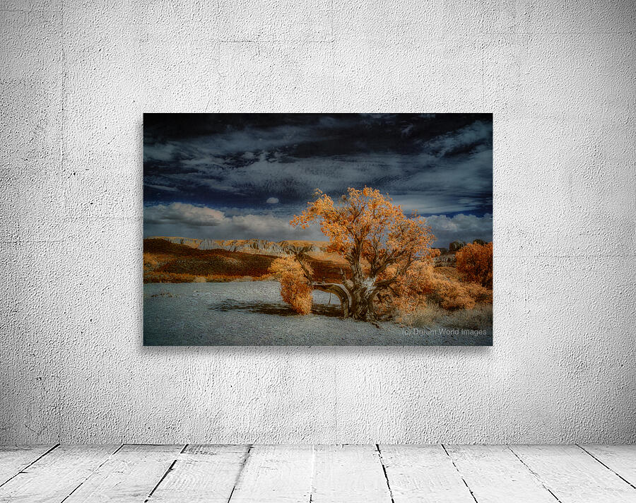 Burnt Tree Symphony in Storm Tinged Skies Wall Preview