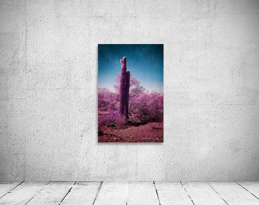 Deserts Purple Dream Wall Preview