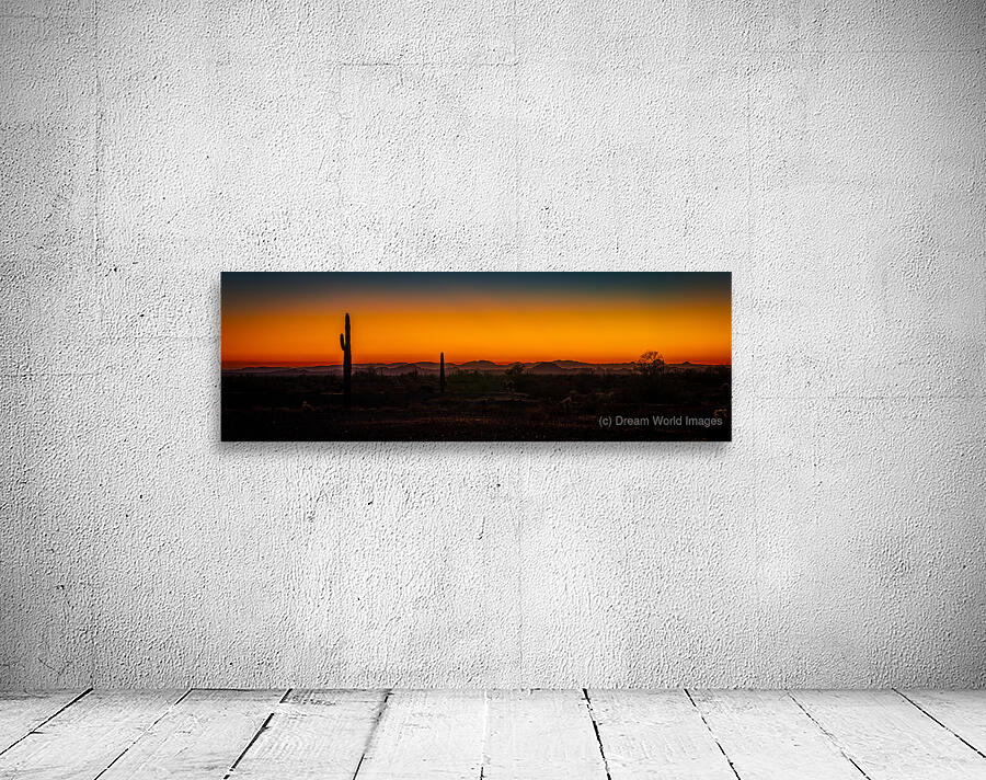 Cacti Against Painted Sky Wall Preview