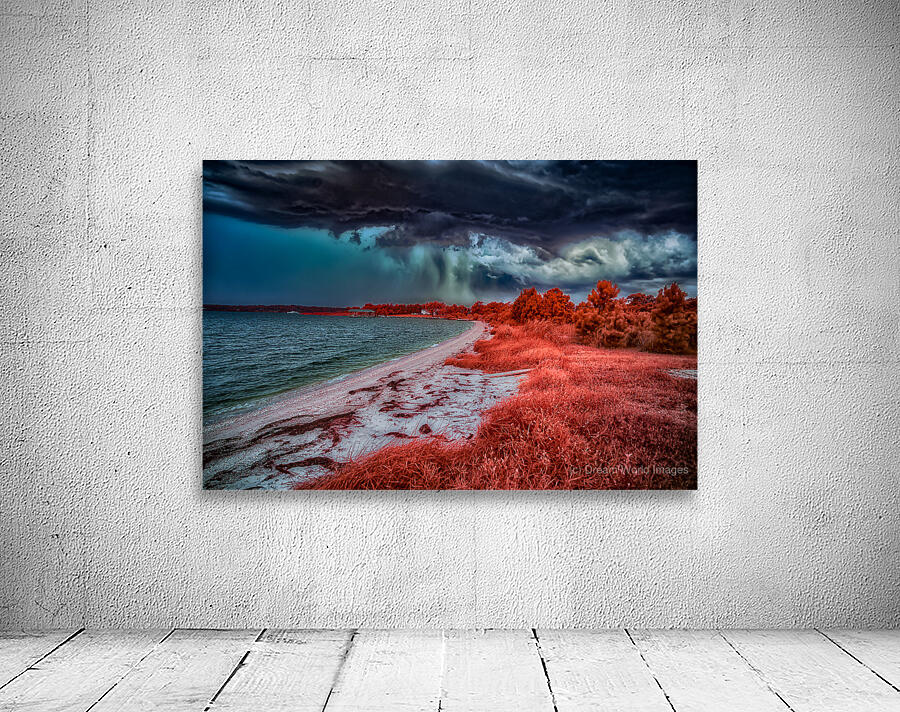 Summer Adventures at Brooms Island Marina: Colorful Beach Storm Wall Preview