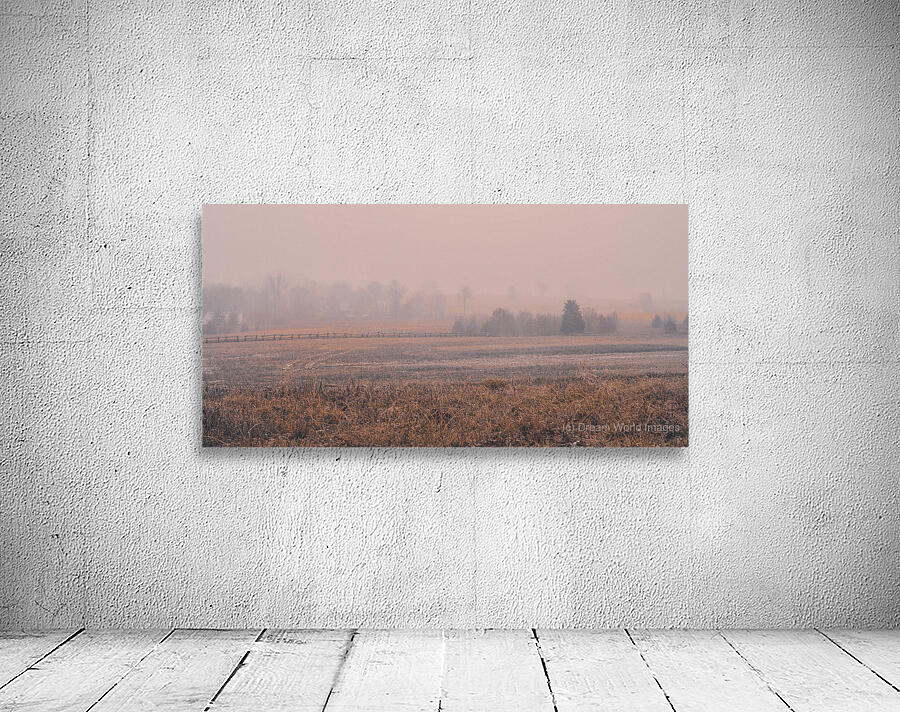 Hazel Field Wall Preview