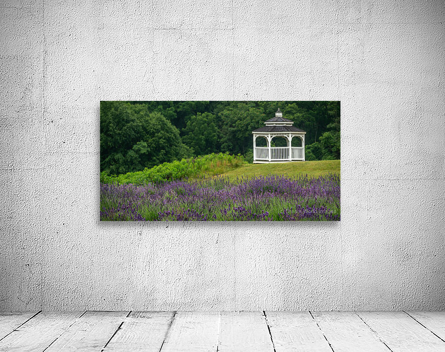 Lavender Gazebo Wall Preview