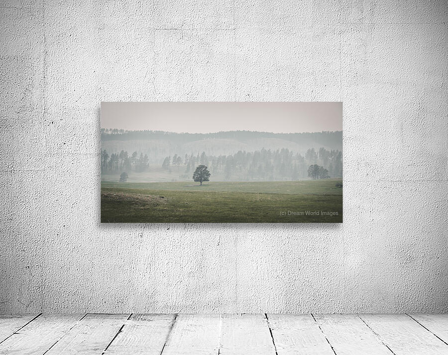 Solitudes Symphony: A Journey Through Custers Wildlife Loop Wall Preview