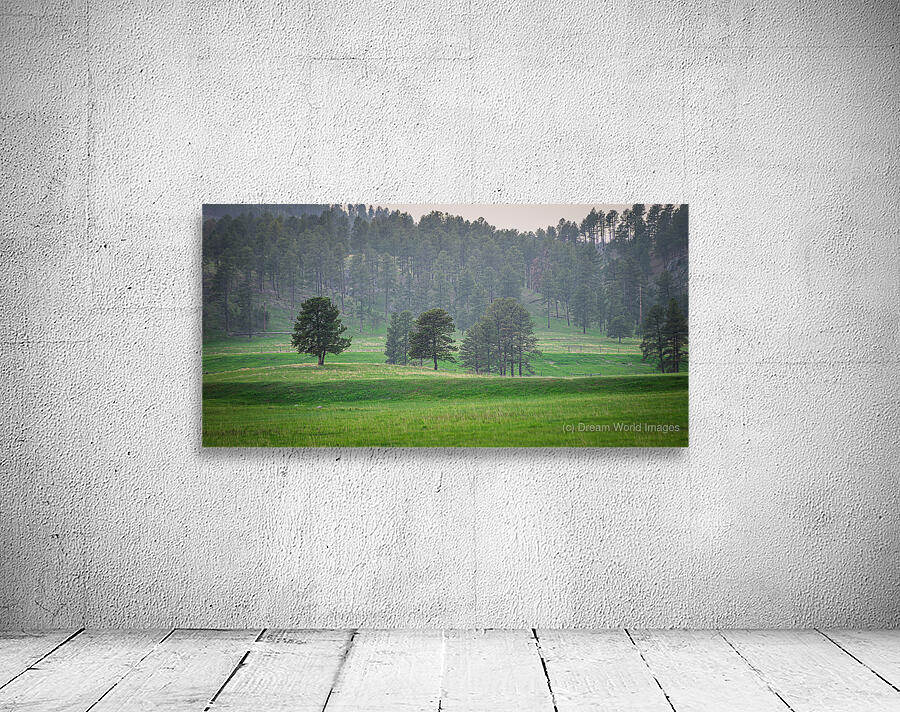 Serene Countryside Dreams Wall Preview