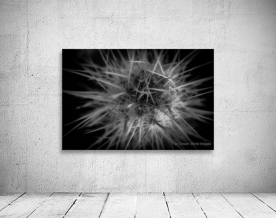 Threading the Needle of Light Wall Preview