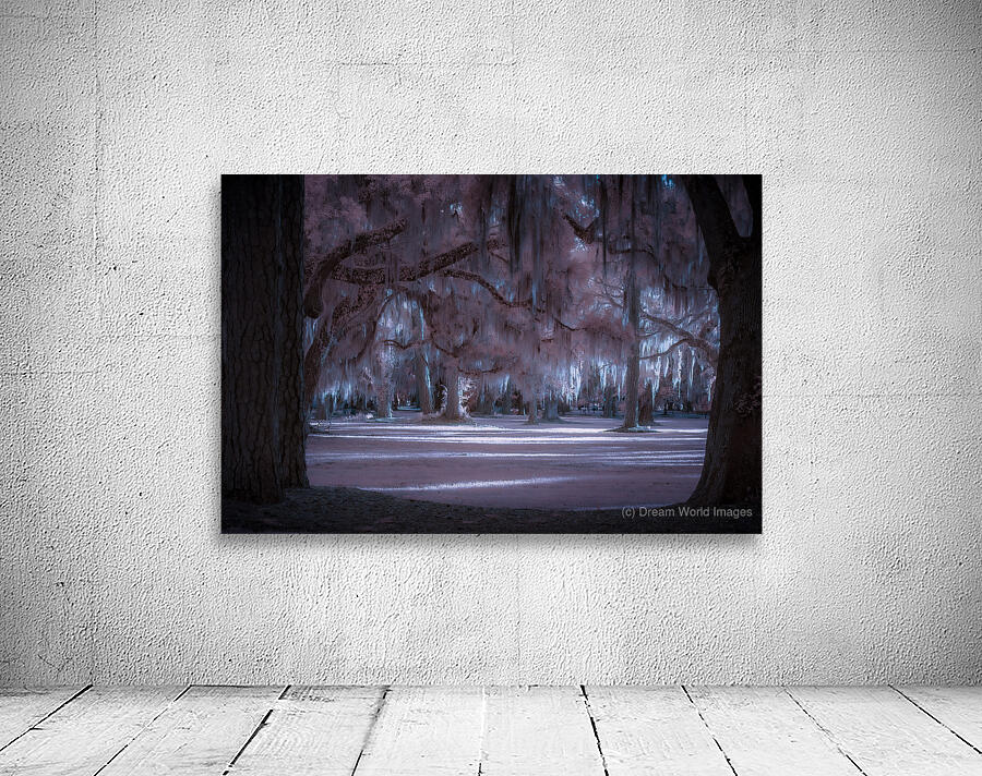 Shadows Cast by Enchanted Light Wall Preview