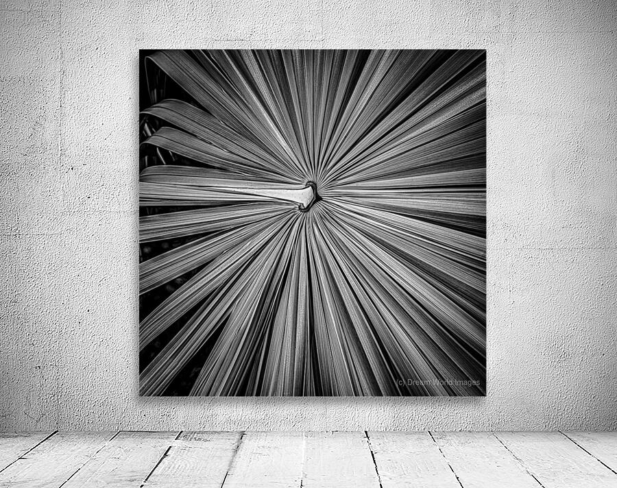 Palm Symmetry Elegance Wall Preview