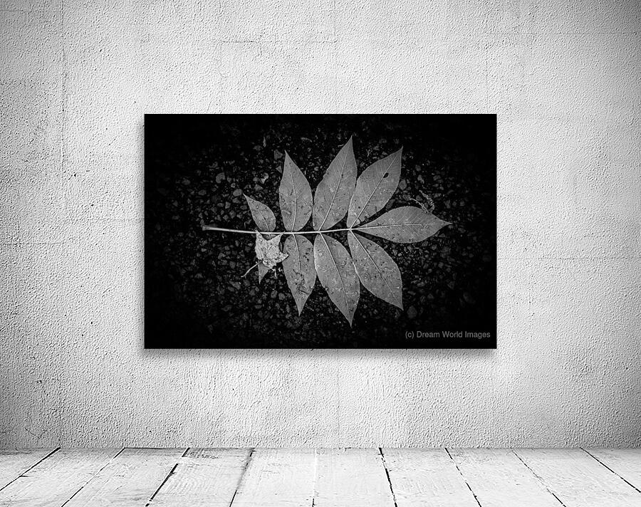 Rainy Day Wonder: Discovering Wishing Leaves at Tims Ford State  Wall Preview