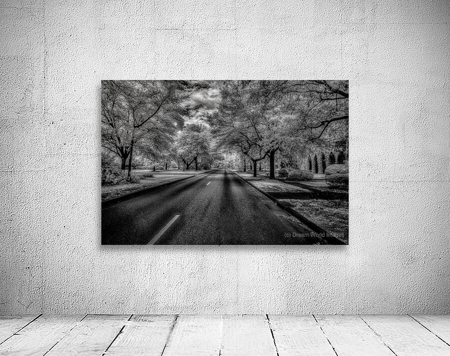 Eufaula Elegance: A Monochromatic Journey Through Time Wall Preview