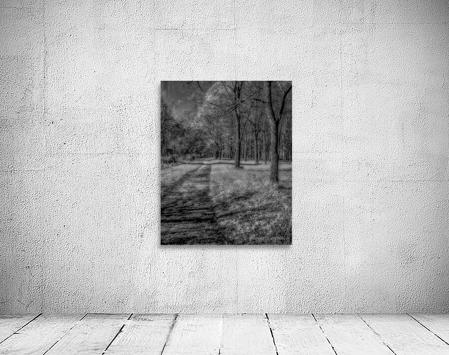 Enchanted Pathways: A Monochrome Overture Wall Preview