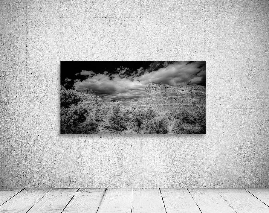 Desert Majesties in Monochrome Wall Preview