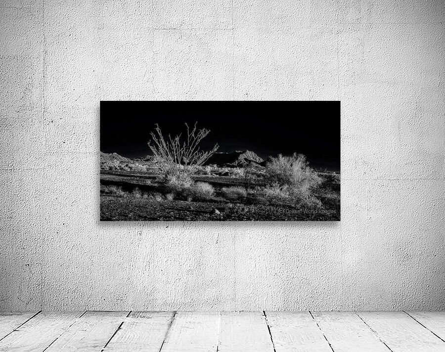 Deserts Silent Play of Light and Shadow Wall Preview