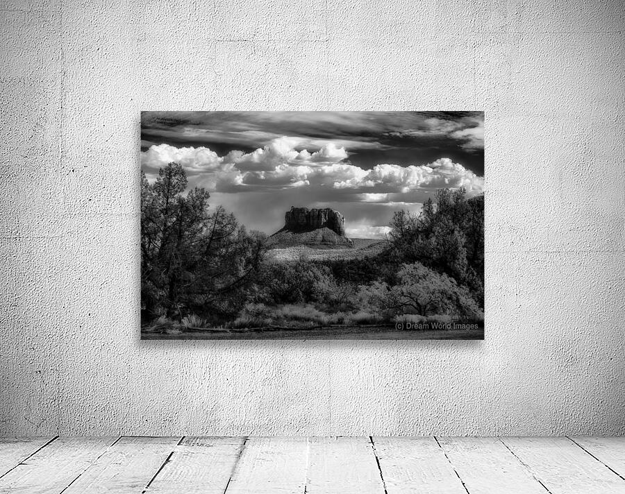 Textural Dance Under Vast Skies Wall Preview