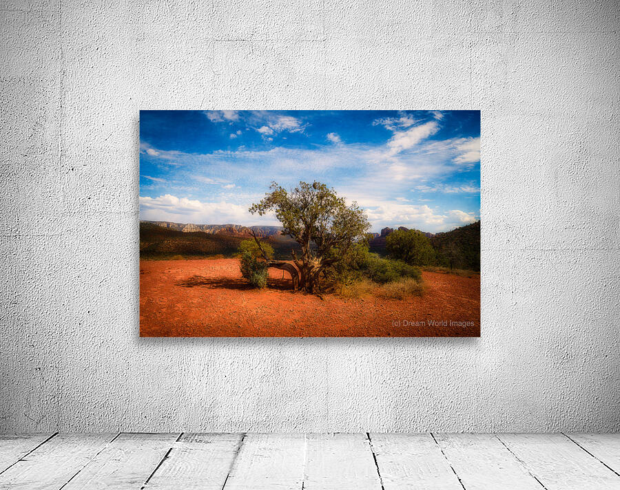 Gnarled Ode on Reddish Earth Wall Preview