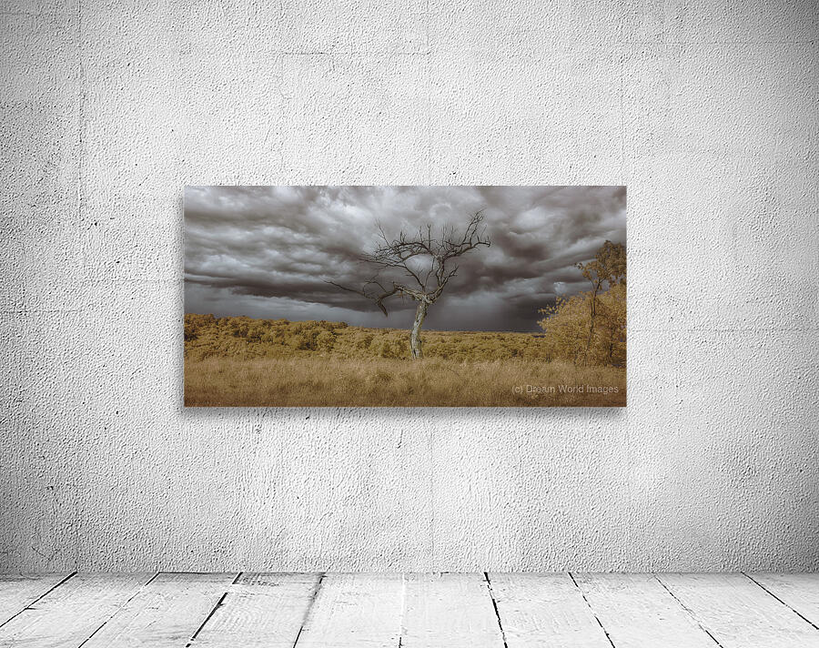 Rooted in the Tempest Wall Preview