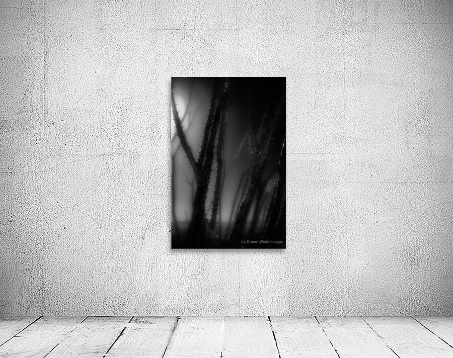 Shadows Weave Through Thorned Spire Wall Preview