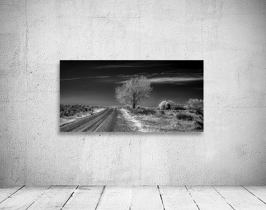 Ethereal Encounters: A Monochrome Journey Through Dawson New Mex Wall Preview