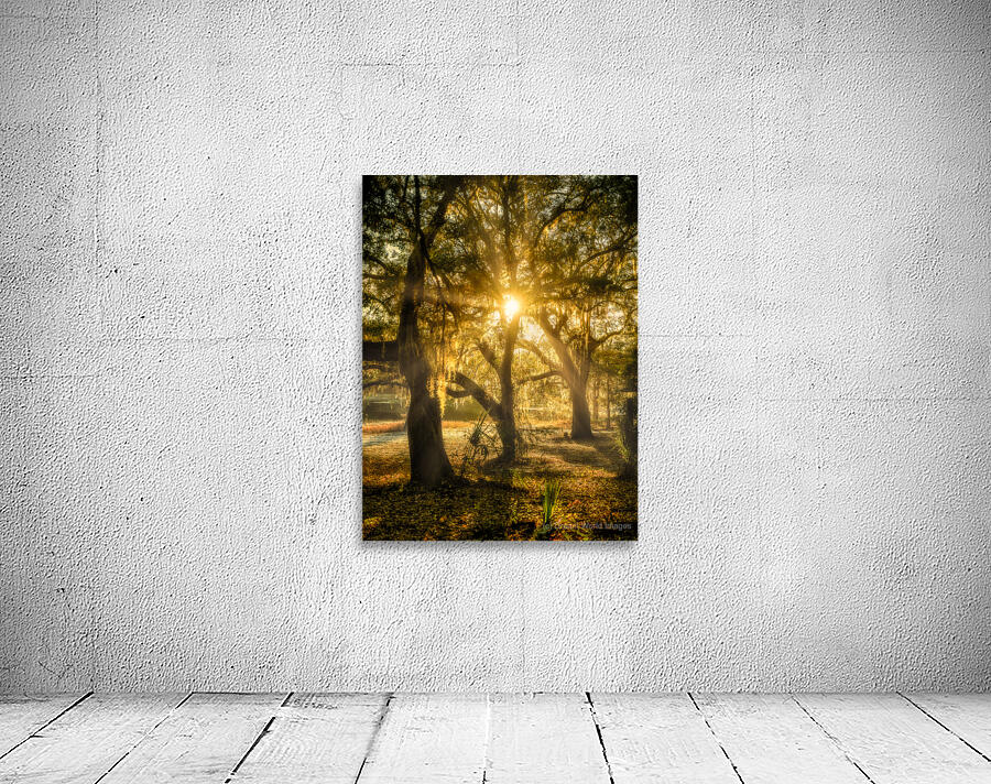 Golden Oak Light Wall Preview