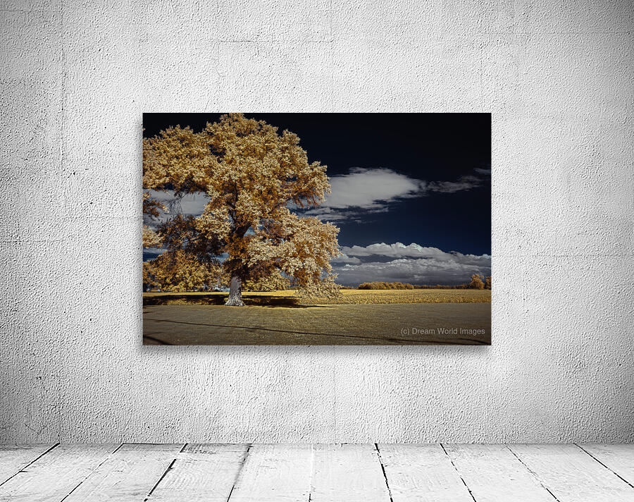 Golden Sentinel Wall Preview