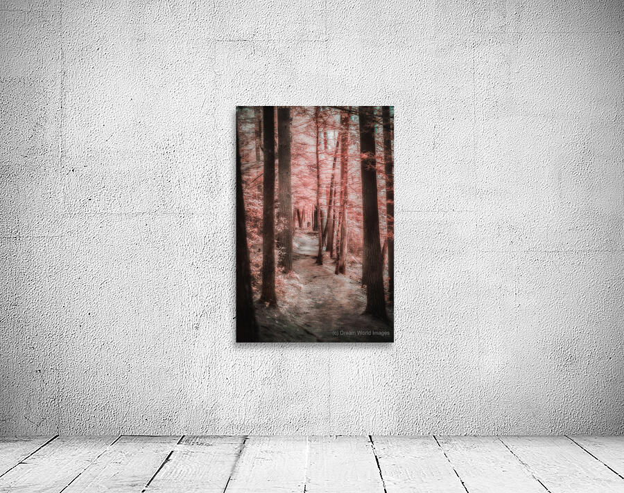 Mystical Forest Walk Wall Preview