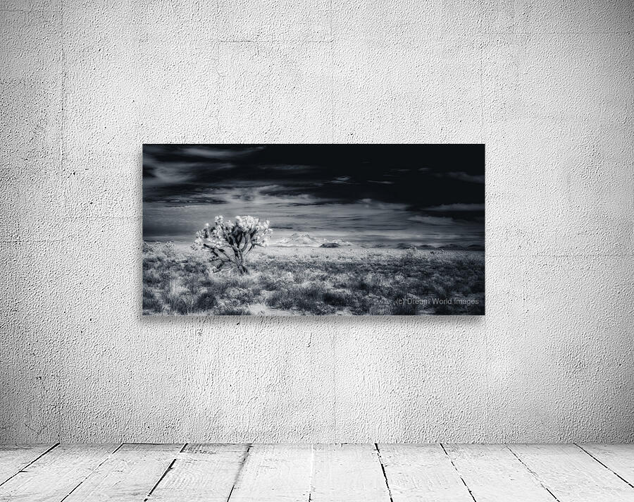 Rugged Silence Under Restless Skies Wall Preview