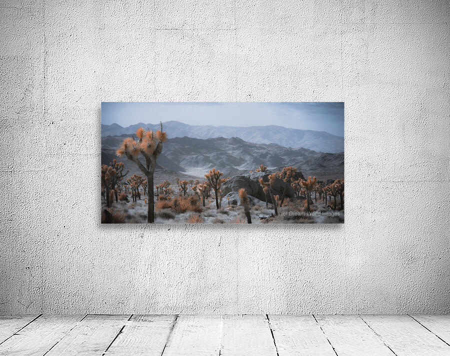 Deserts Spiky Palette Wall Preview