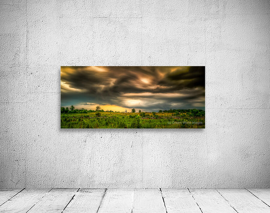 Storms Golden Whispers Wall Preview