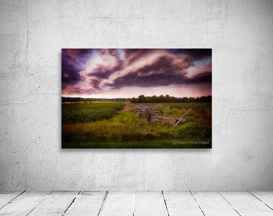 Clouds on the field Wall Preview