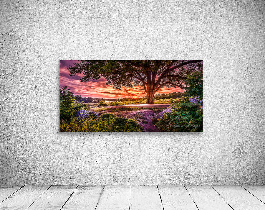 Fairytale Sunset Wall Preview