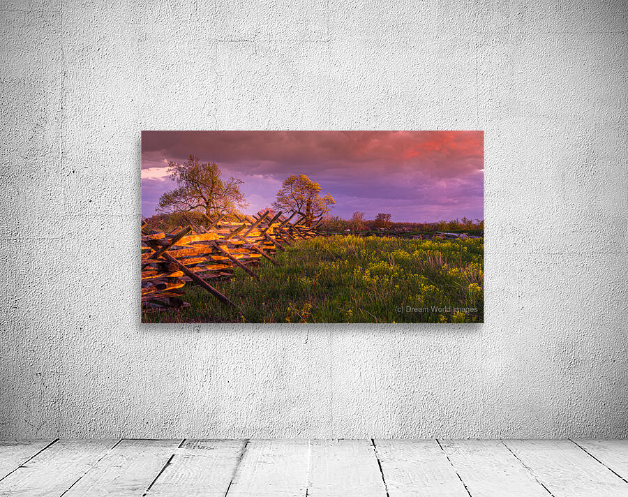 Sunset Fence Wall Preview