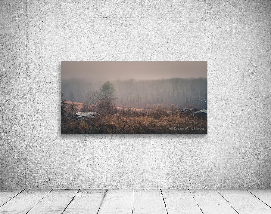 Winters Whispers Wall Preview