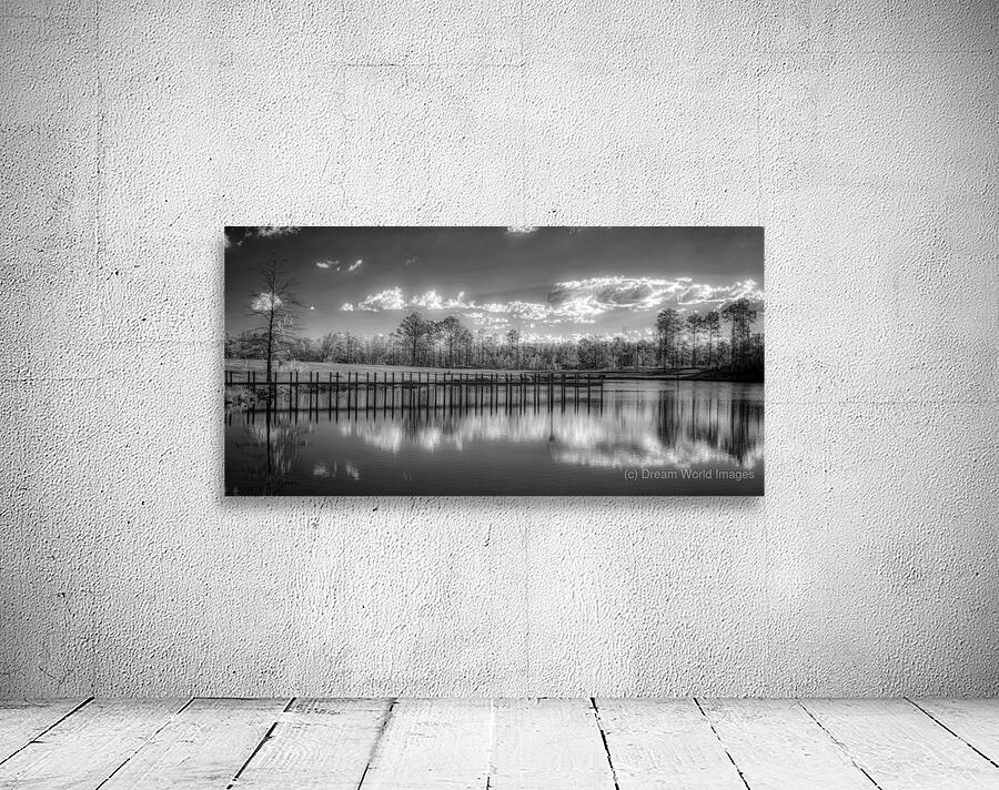 Tranquil Reflection: Florida Dead Lakes Wall Preview