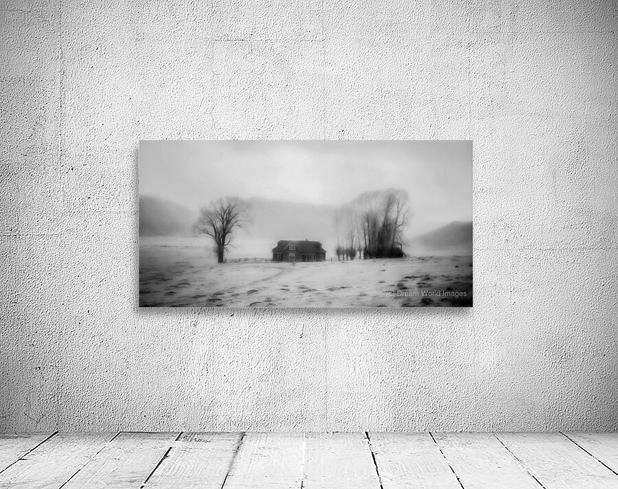 Winters Solitude Wall Preview