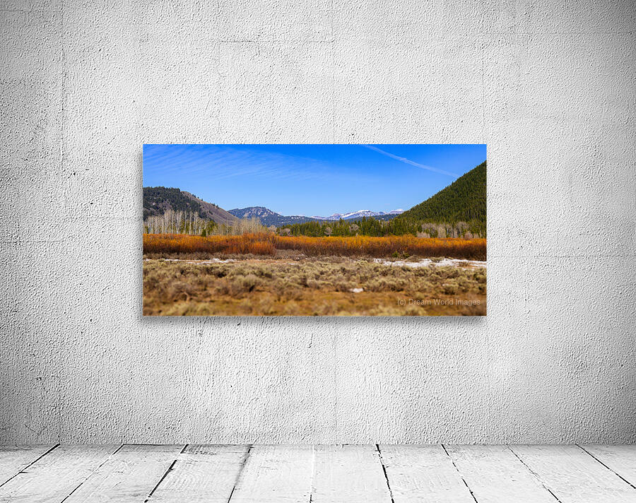 Layers of Winter Promise Wall Preview