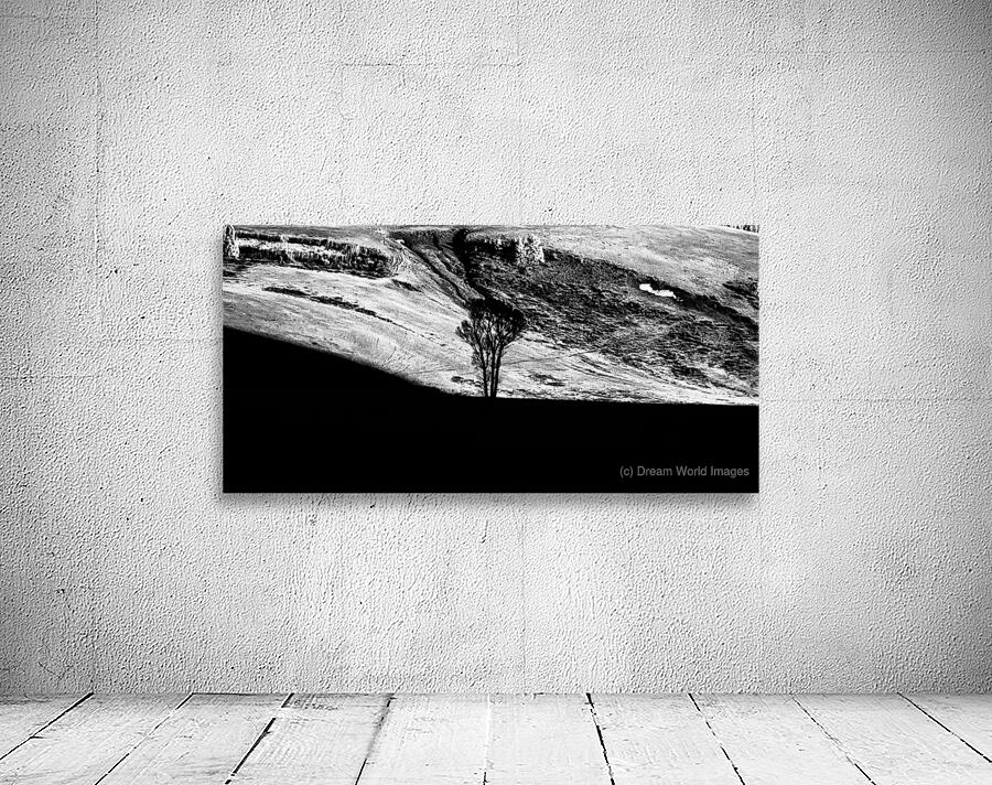 Solitary Sentinel Wall Preview