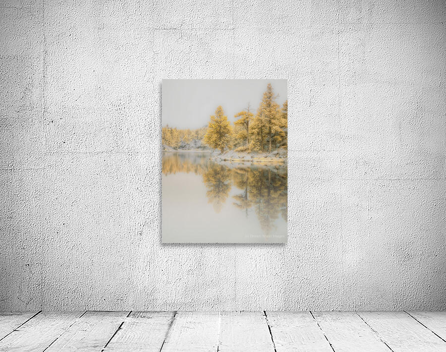 Lake Dreamscape: Misty Morning Serenity at Bismarck Lake Wall Preview