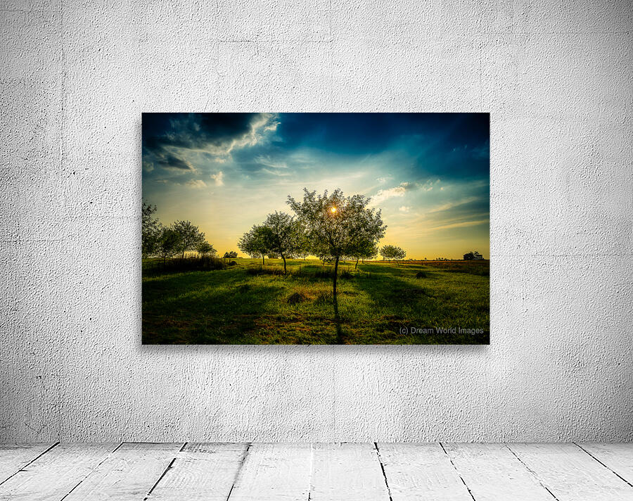 Golden Hour Symphony: Trostle Farms Enchanting Ambiance at Getty Wall Preview