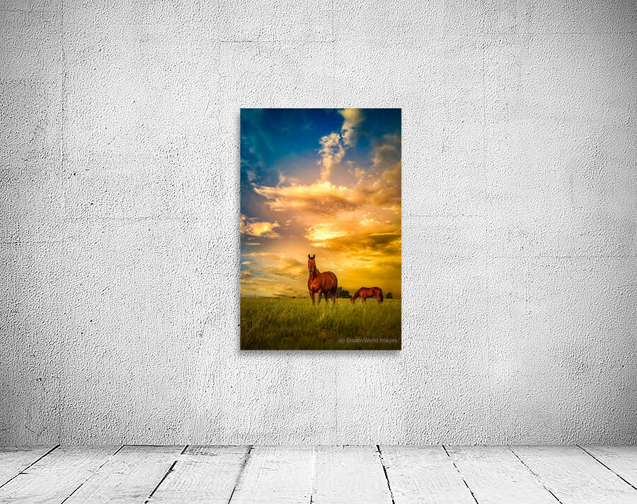 We Call Him Ernie: A Montana Ranch Tale Wall Preview