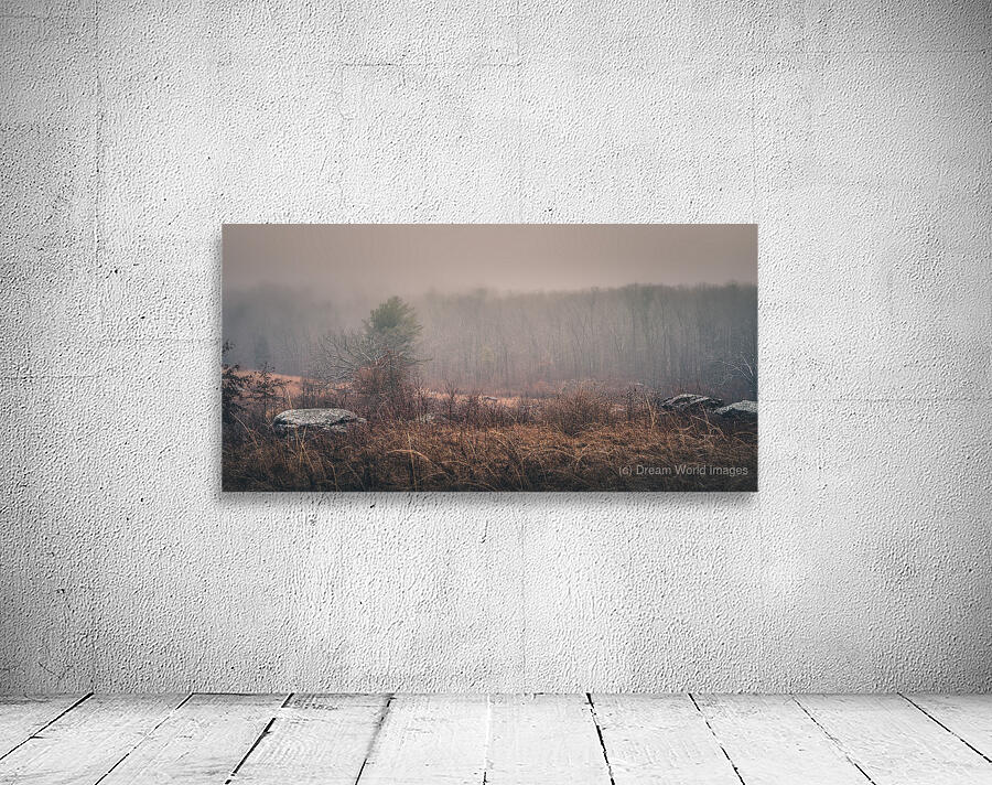 Winters Whispers Wall Preview