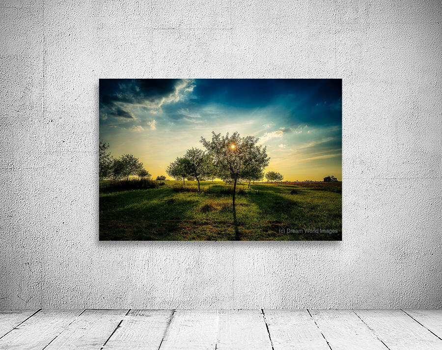 Golden Hour Symphony: Trostle Farms Enchanting Ambiance at Getty Wall Preview