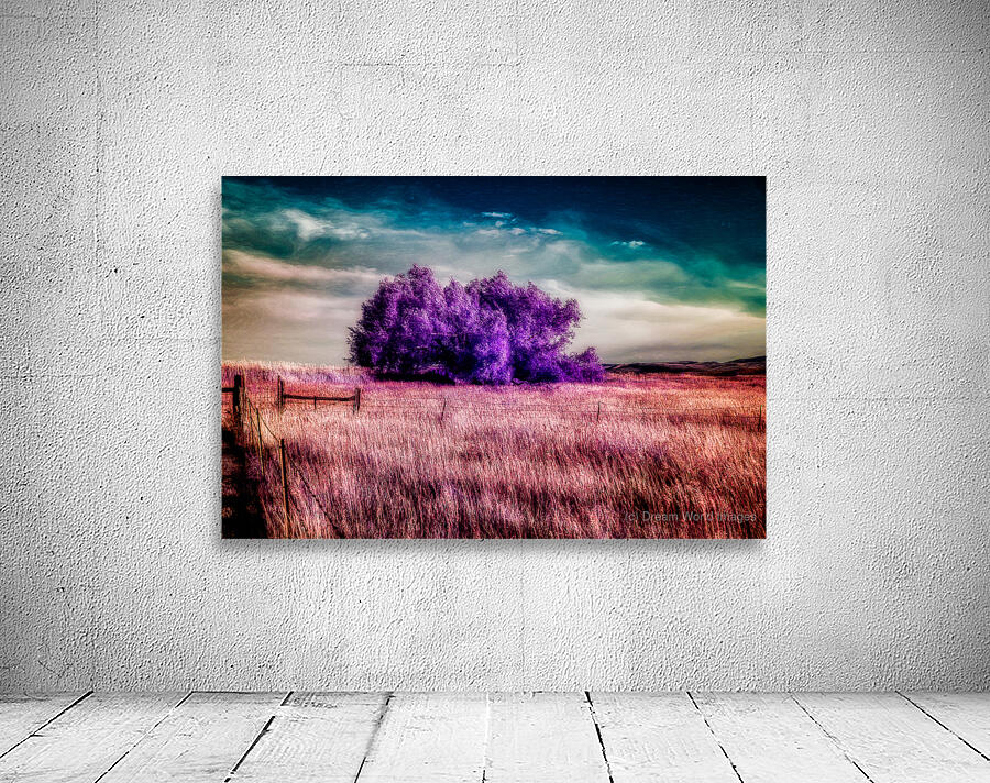 Amethyst Sanctuary Wall Preview