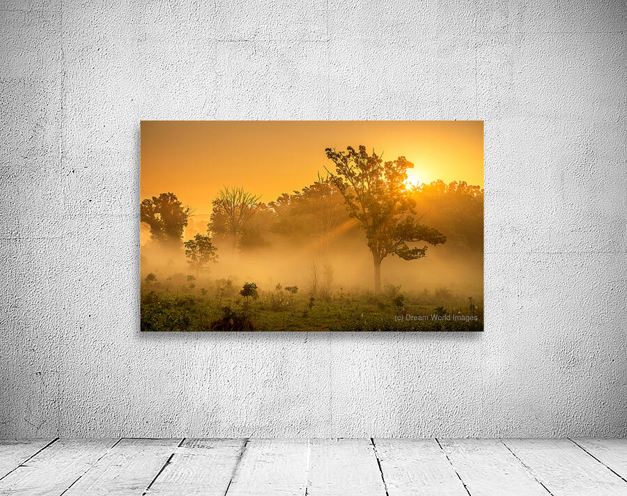 Misty Morning Glow: Dawn in Gettysburg Wall Preview