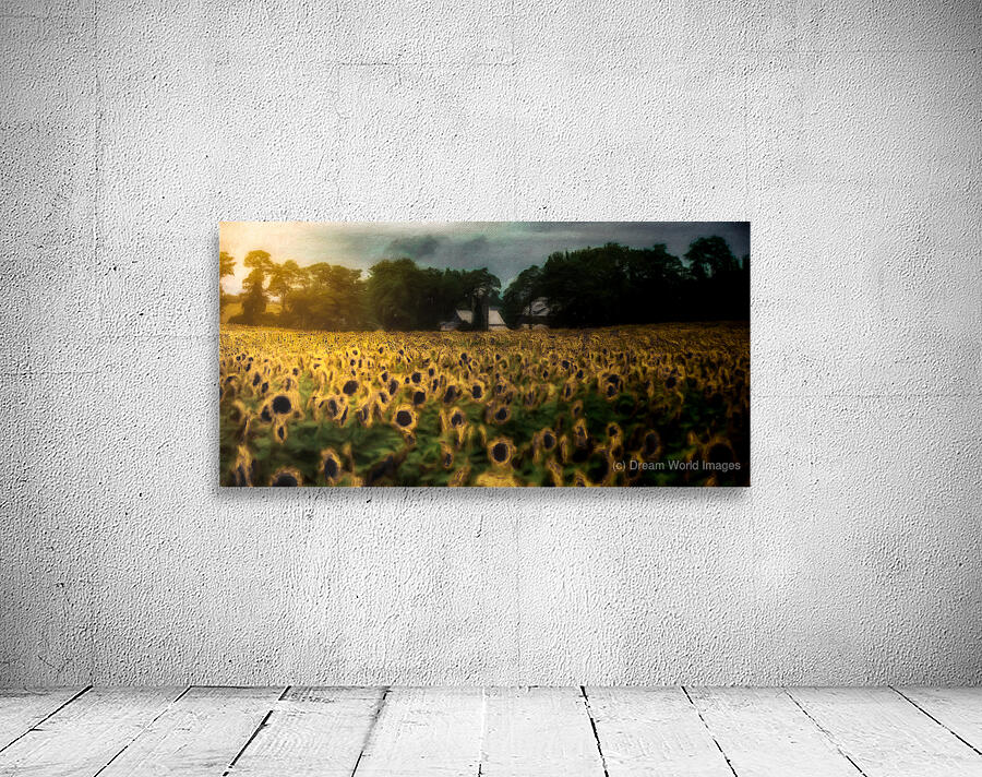 The Field That Remembers the Sun Wall Preview