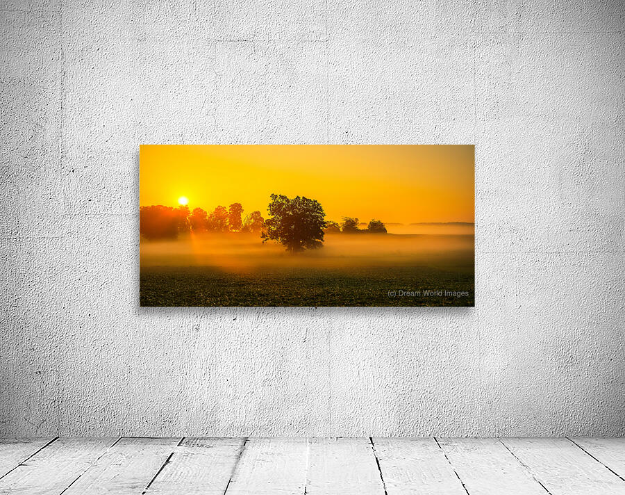 Dawns Embrace: Misty Tree in Gettysburg Wall Preview