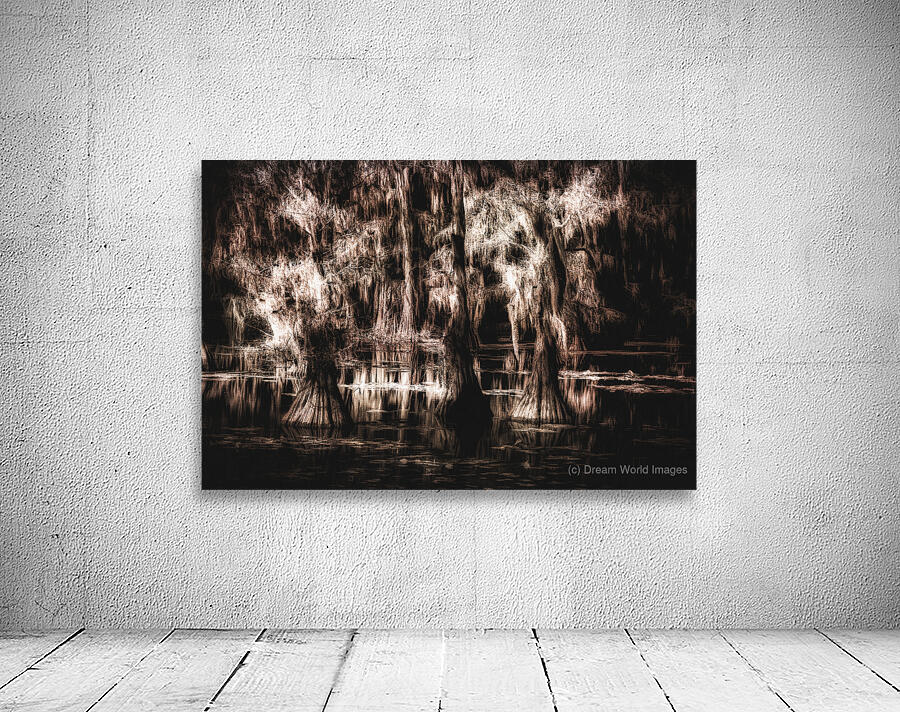 The Light Between Worlds Wall Preview